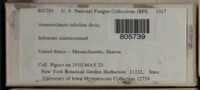 Image Associated With the Occurence